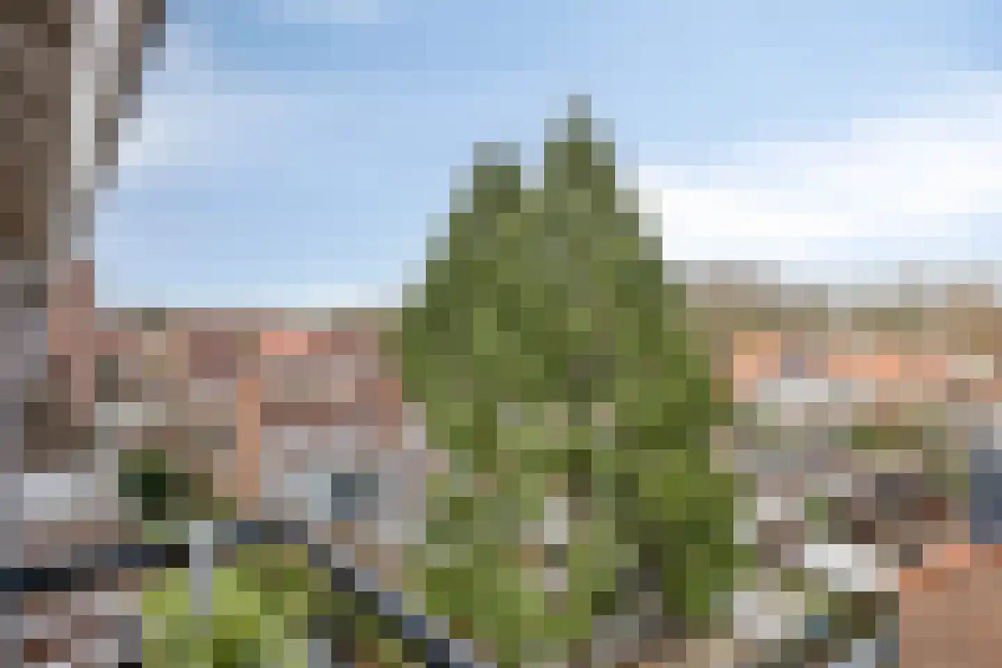 Gerard Doustraat 12 's-Hertogenbosch thumbnail 19