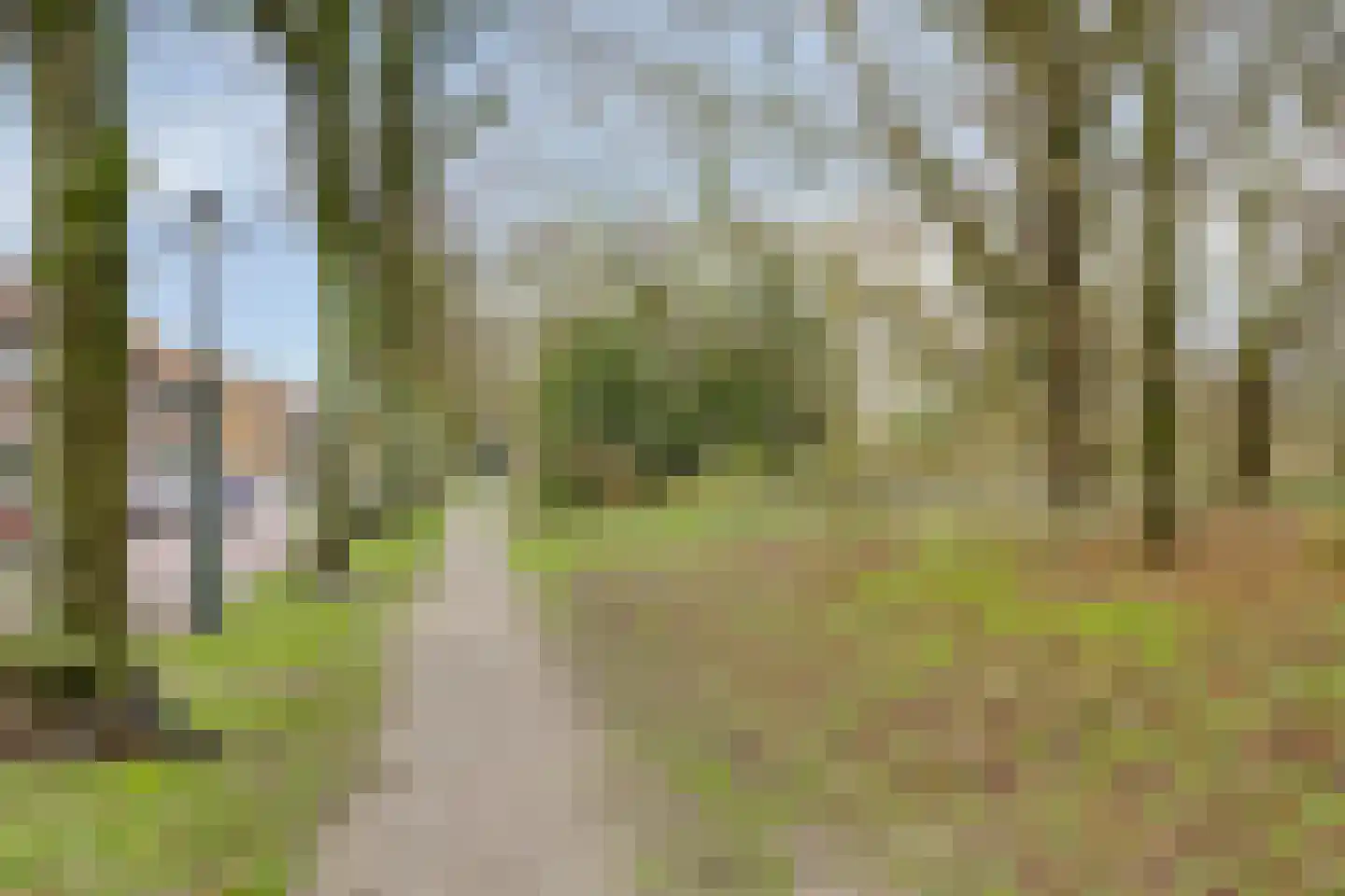 Gerard Doustraat 12 's-Hertogenbosch thumbnail 29