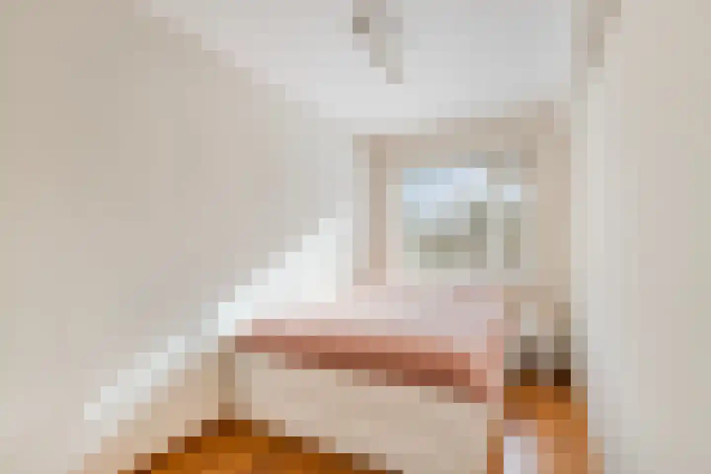 Gerard Doustraat 12 's-Hertogenbosch thumbnail 4