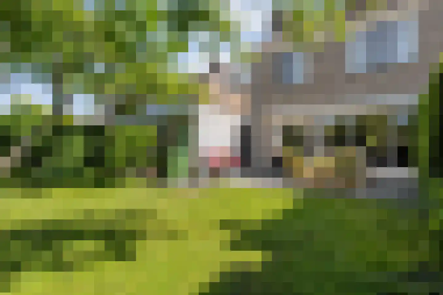 Gerard Doustraat 122 Meppel thumbnail 42