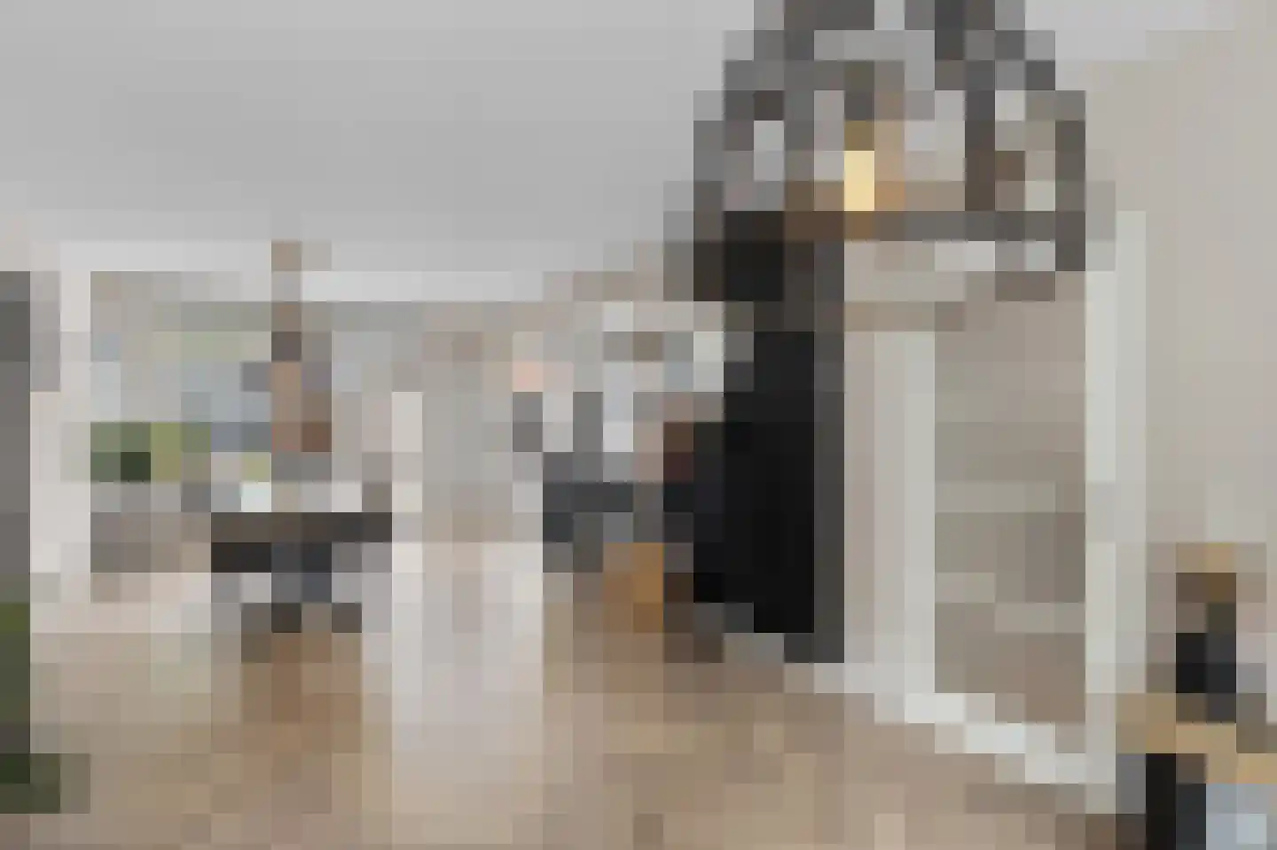 Gerard Doustraat 133 Roosendaal thumbnail 6