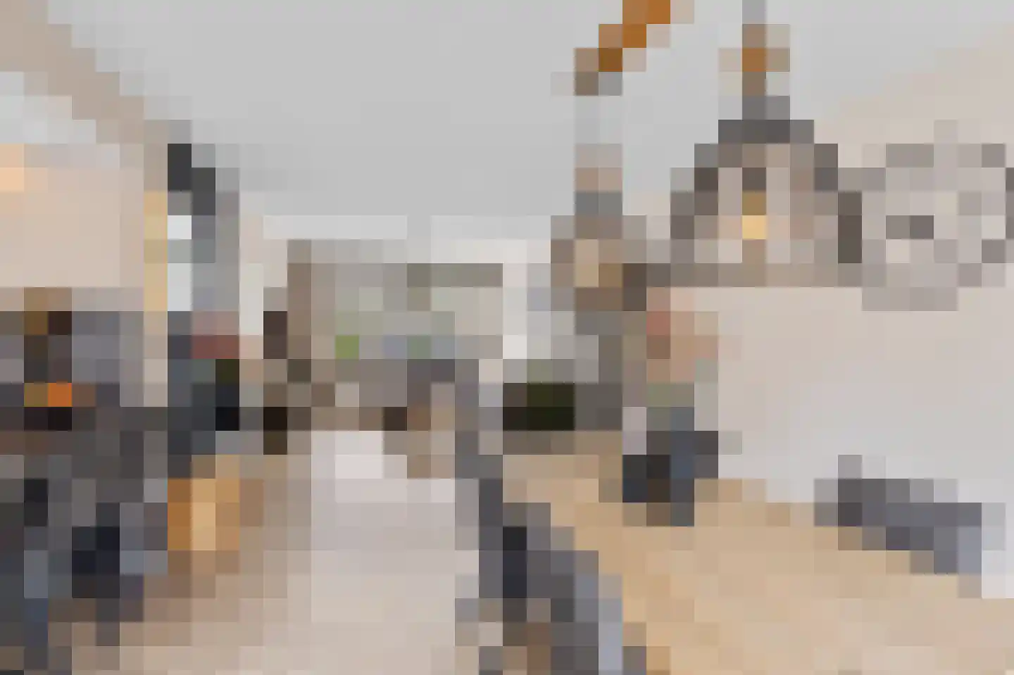 Gerard Doustraat 133 Roosendaal thumbnail 9