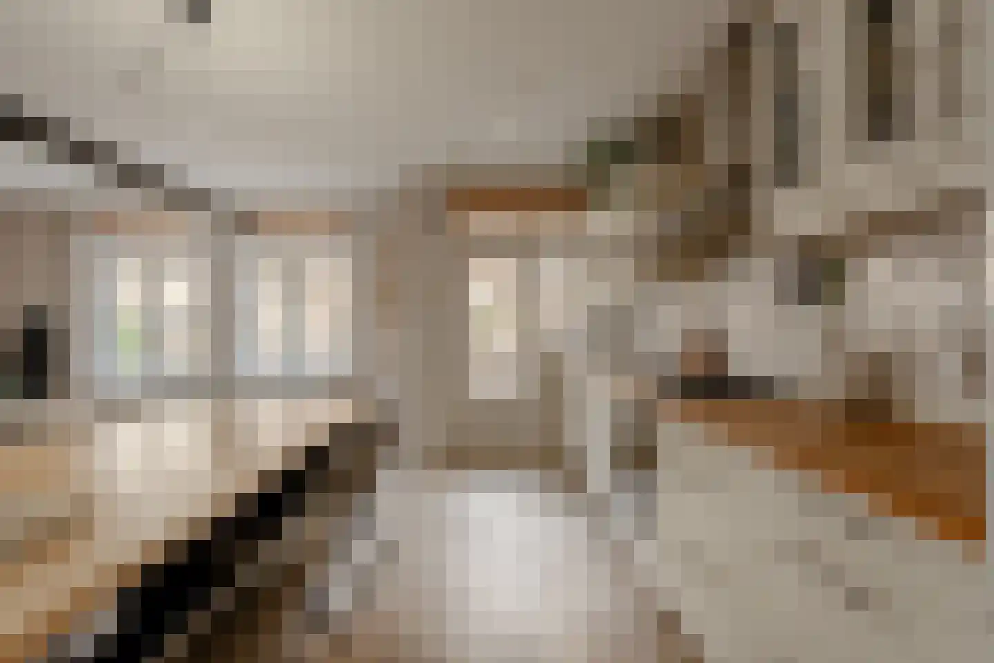 Gerard Doustraat 144 2 Amsterdam thumbnail 9