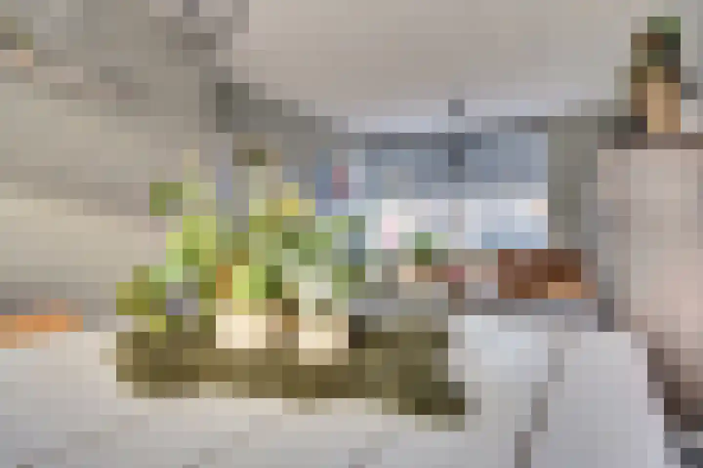 Gerard Doustraat 15 Spijkenisse thumbnail 7