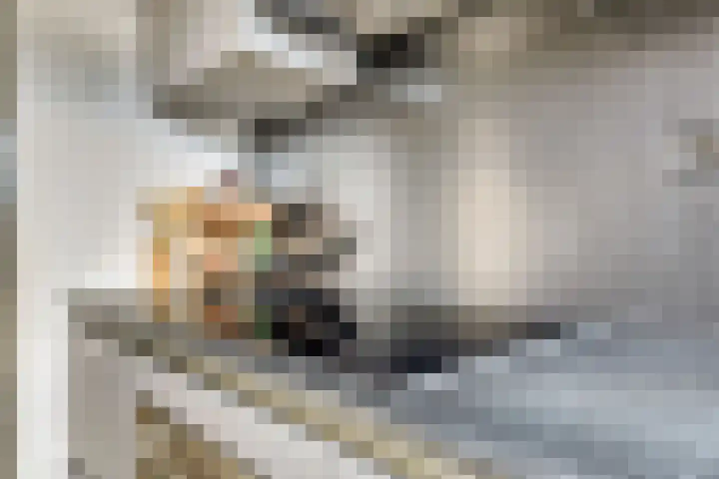 Gerard Doustraat 15 Spijkenisse thumbnail 9