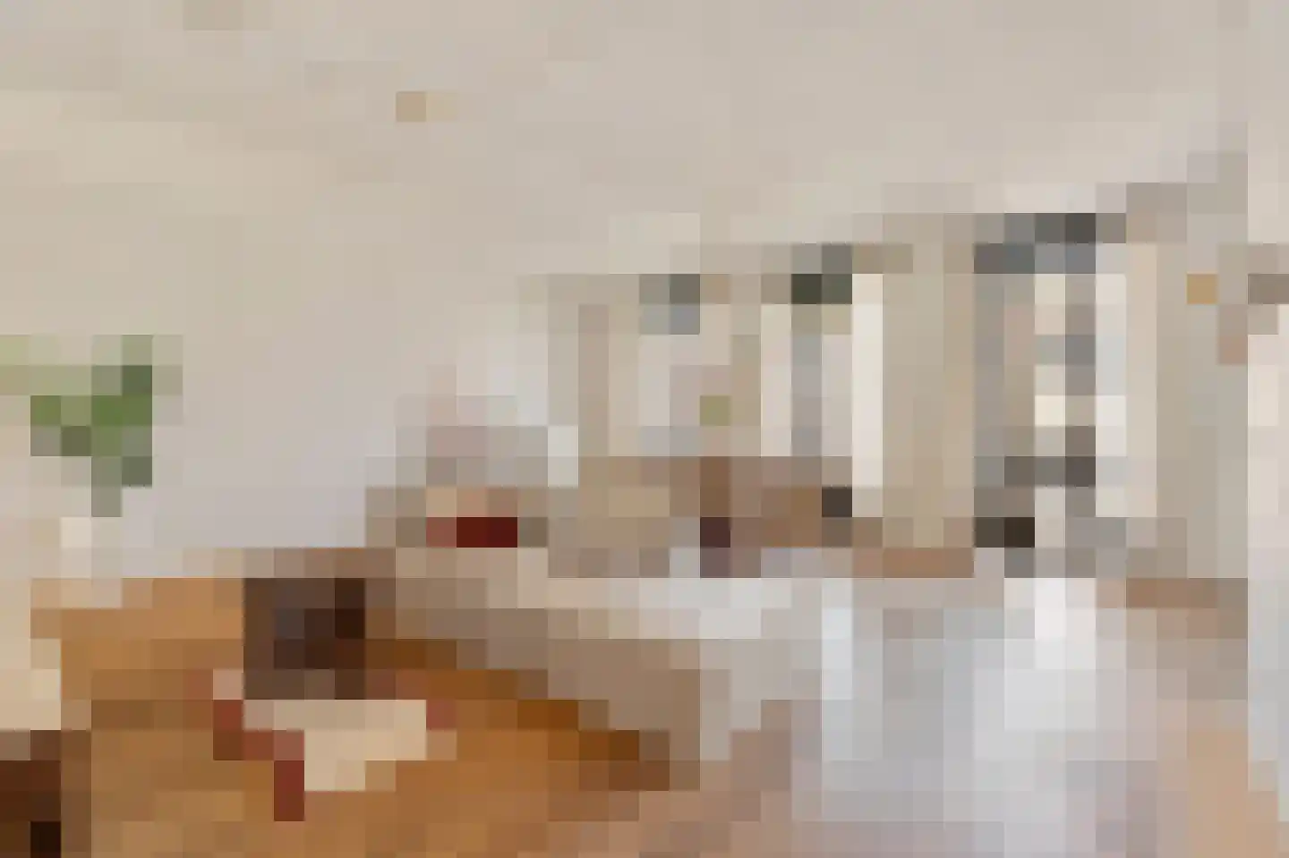 Gerard Doustraat 150 A Amsterdam thumbnail 7