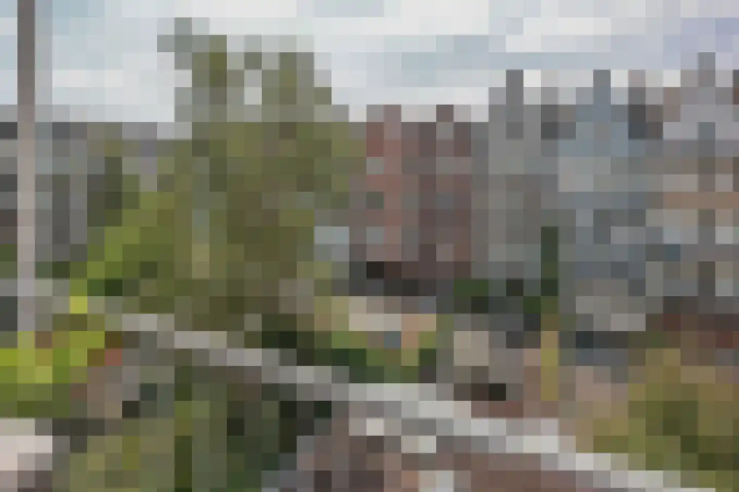 Gerard Doustraat 16 3A Amsterdam thumbnail 16