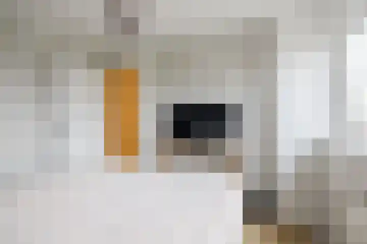Gerard Doustraat 16 Hoogeveen thumbnail 27
