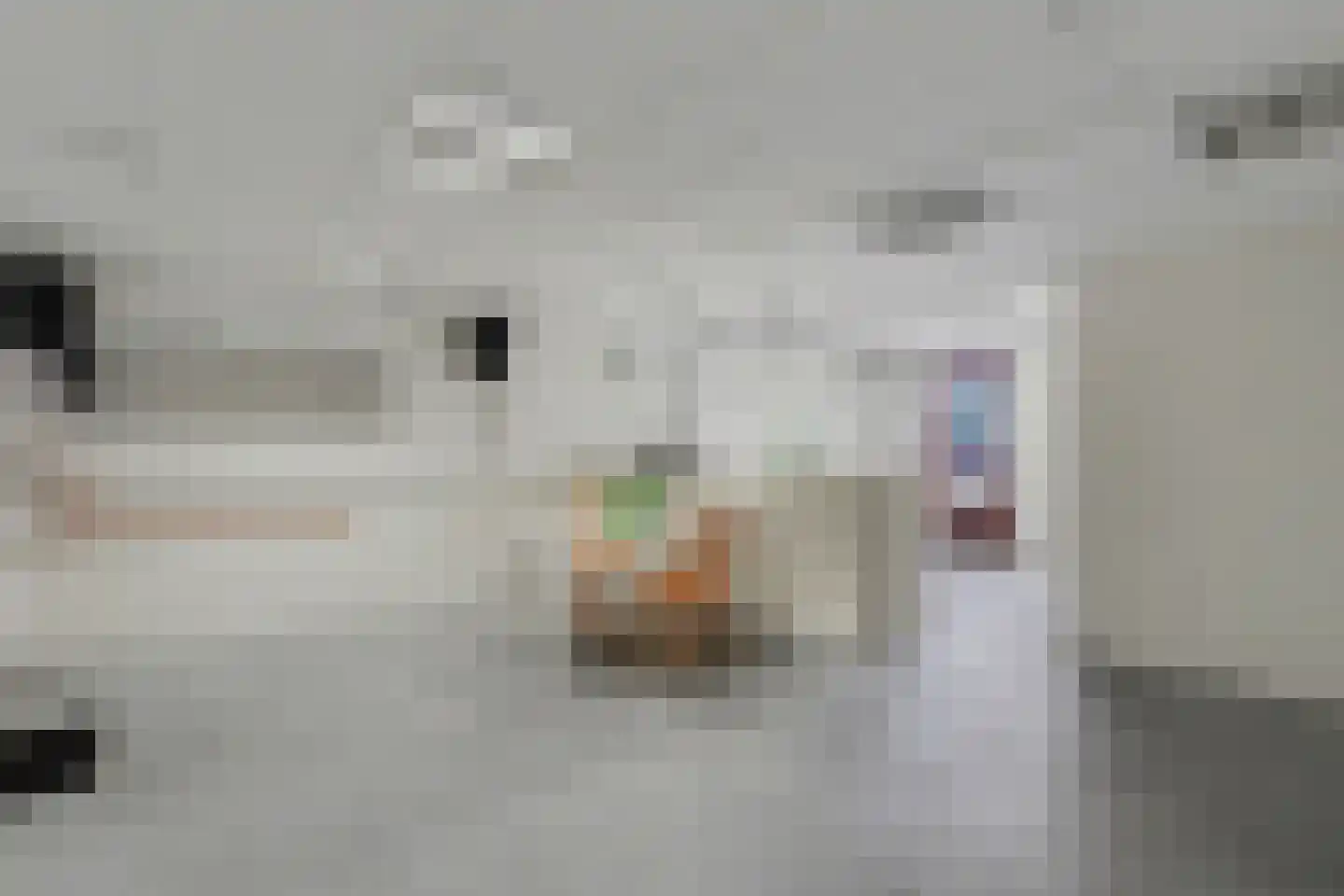 Gerard Doustraat 17 Almelo thumbnail 33