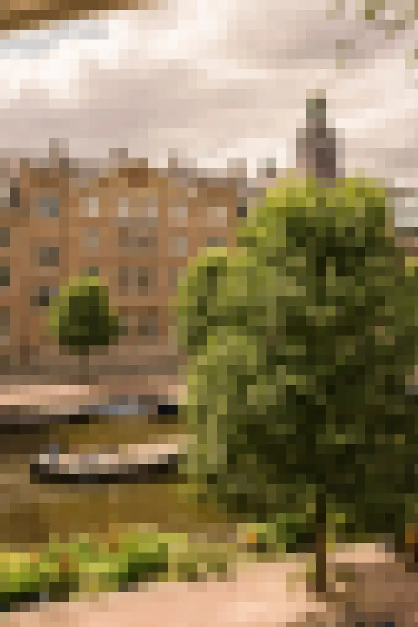 Gerard Doustraat 2 2 Amsterdam thumbnail 21