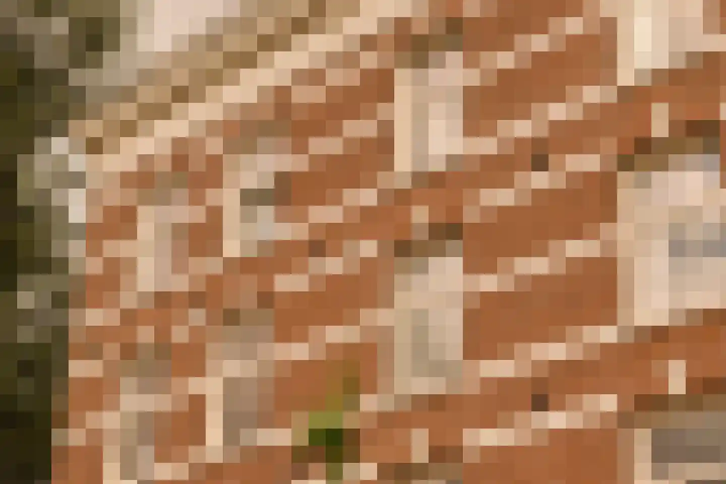 Gerard Doustraat 2 2 Amsterdam thumbnail 24