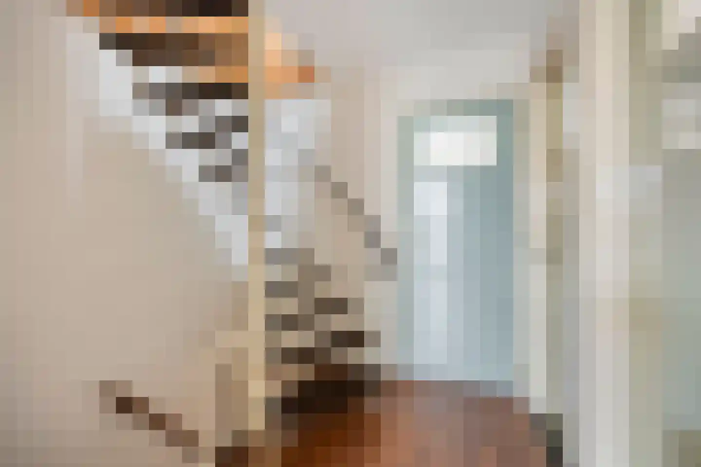 Gerard Doustraat 21 Alkmaar thumbnail 19