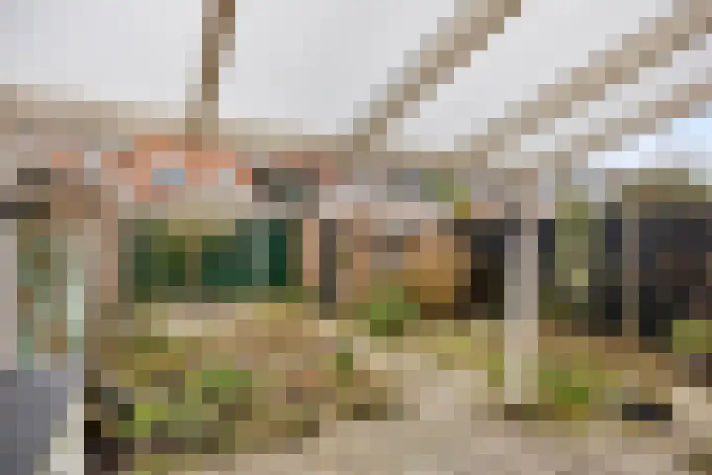 Gerard Doustraat 21 Alkmaar thumbnail 24