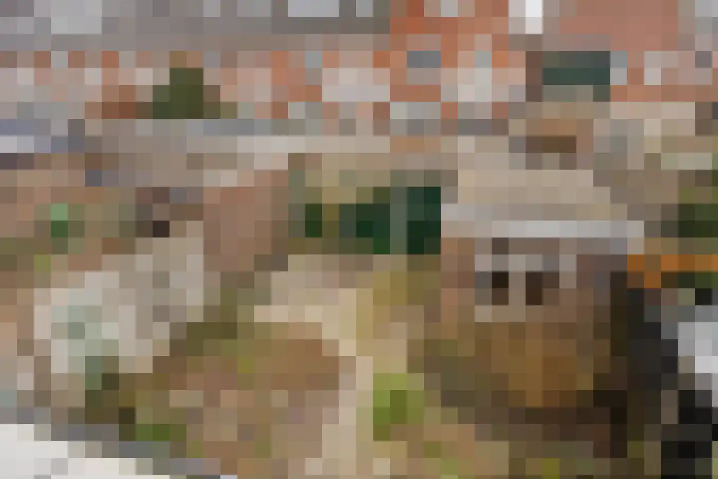 Gerard Doustraat 21 Alkmaar thumbnail 28