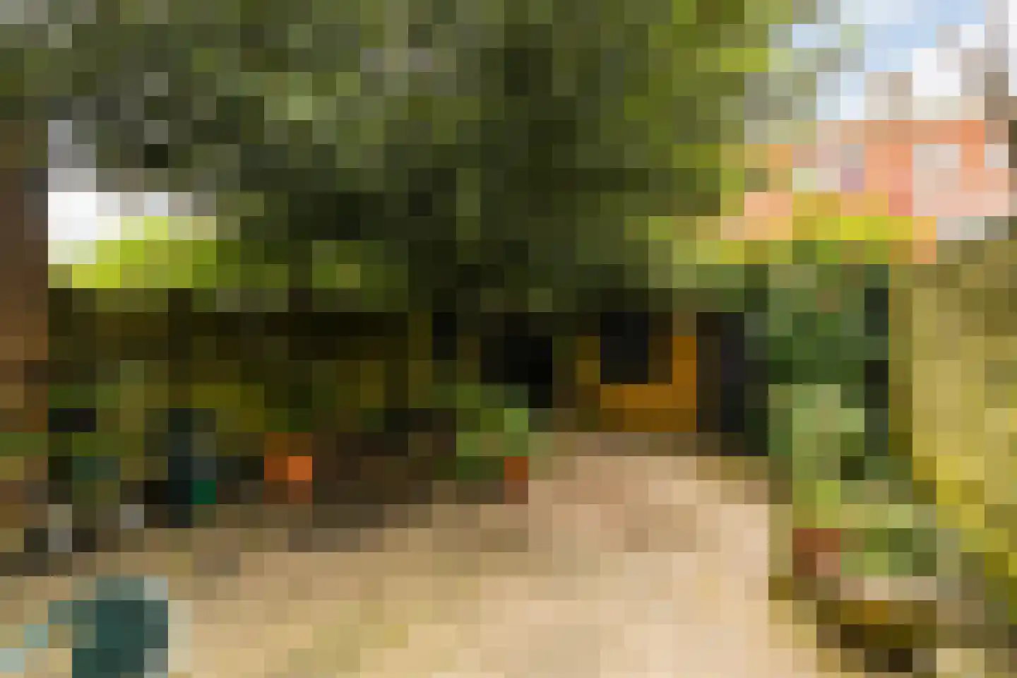 Gerard Doustraat 21 Utrecht thumbnail 13