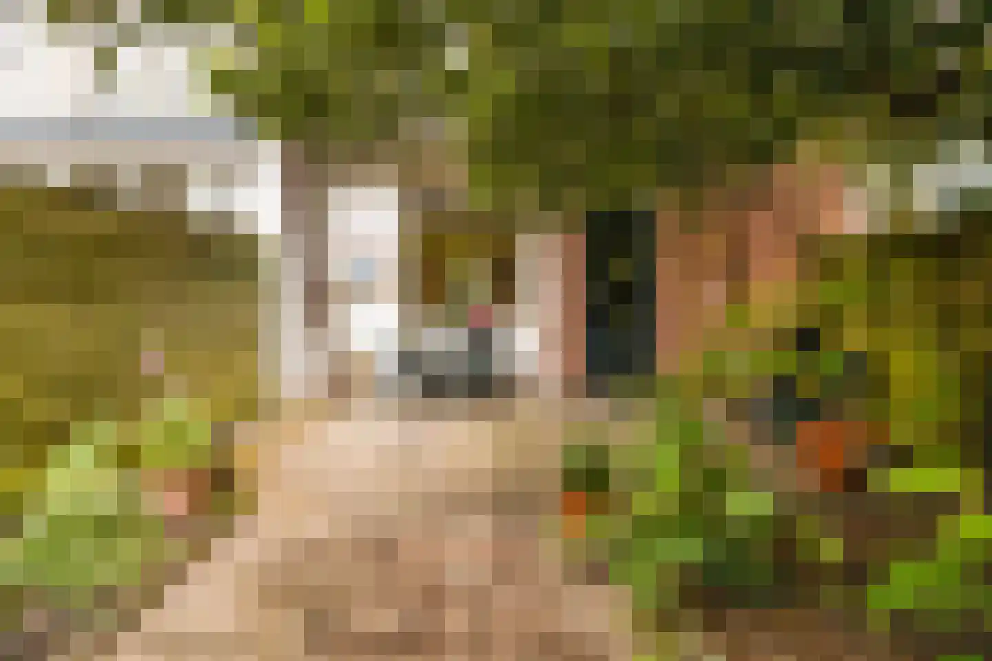 Gerard Doustraat 21 Utrecht thumbnail 16