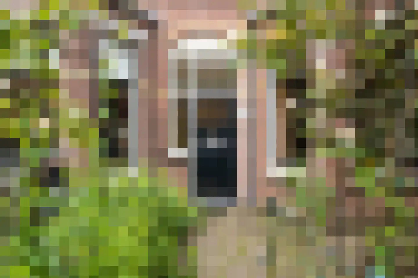 Gerard Doustraat 21 Utrecht foto 3
