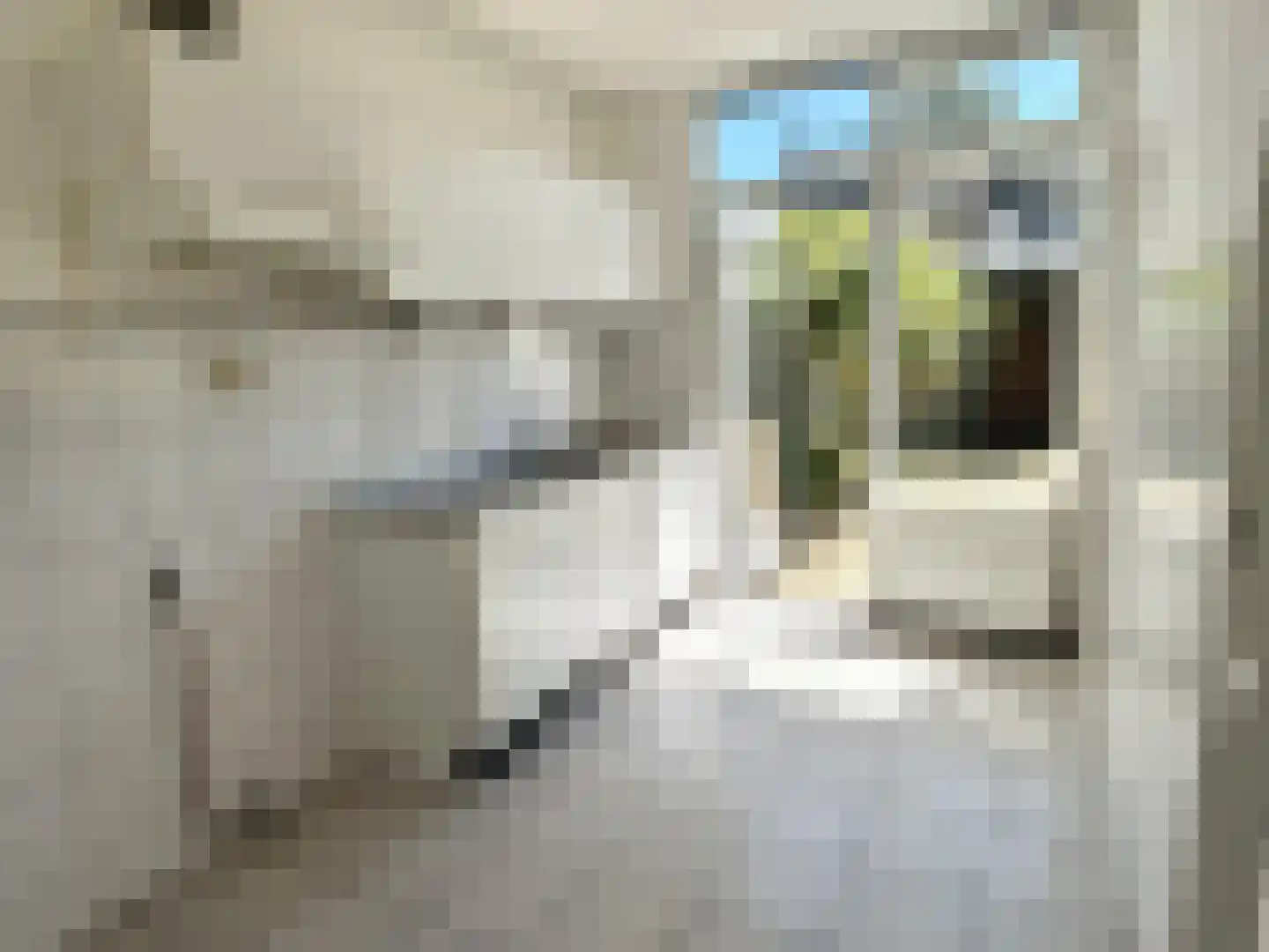 Gerard Doustraat 25 Roosendaal thumbnail 9