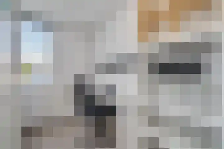 Gerard Doustraat 27 Capelle aan den IJssel thumbnail 22