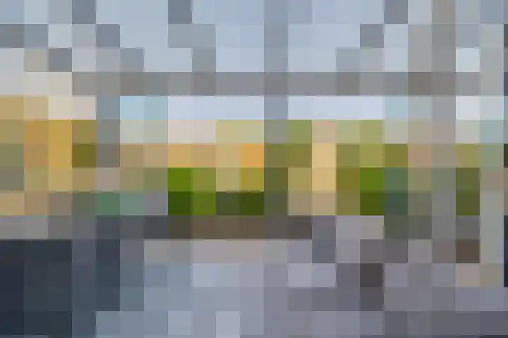 Gerard Doustraat 27 Capelle aan den IJssel thumbnail 4