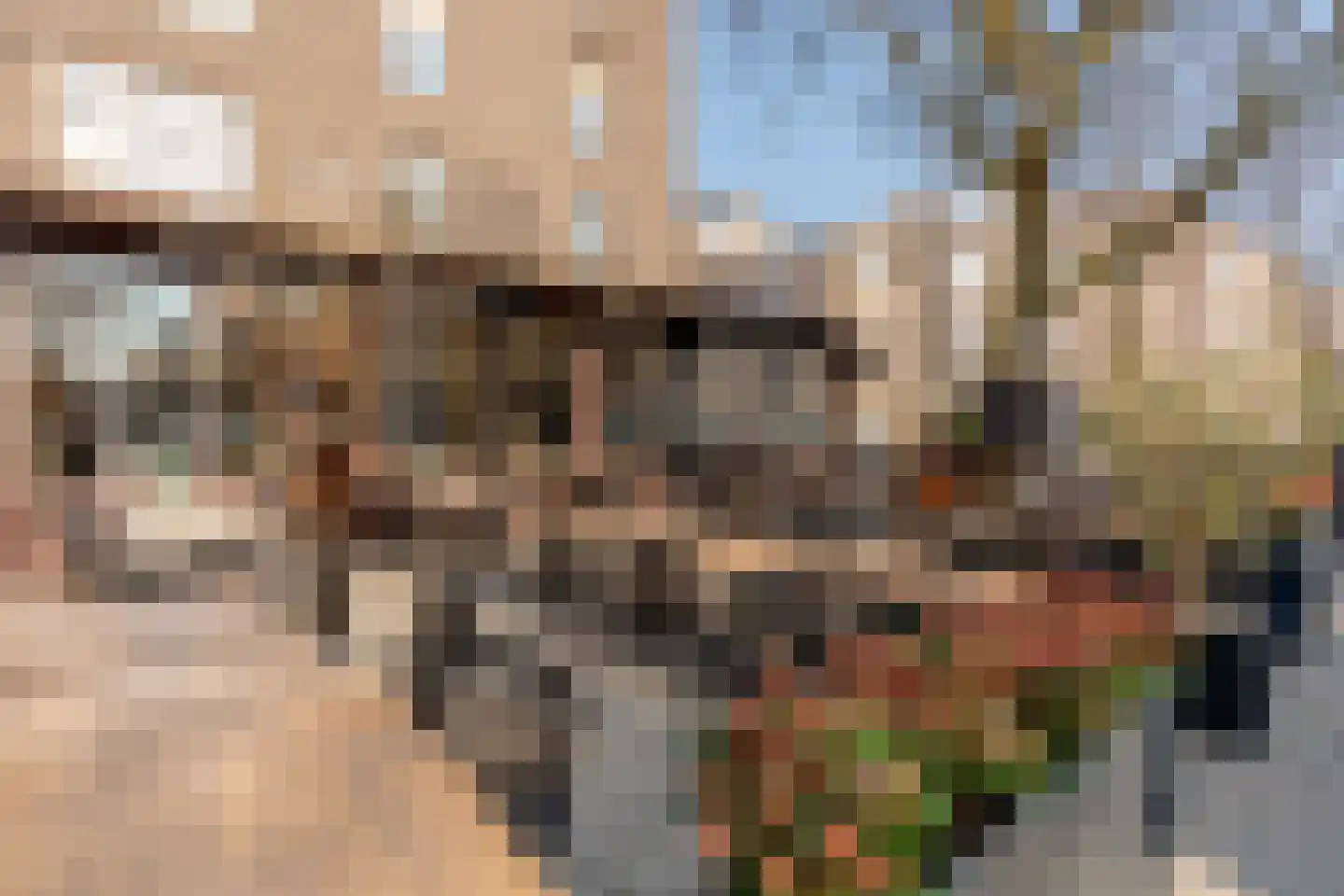 Gerard Doustraat 3 3 Amsterdam thumbnail 28