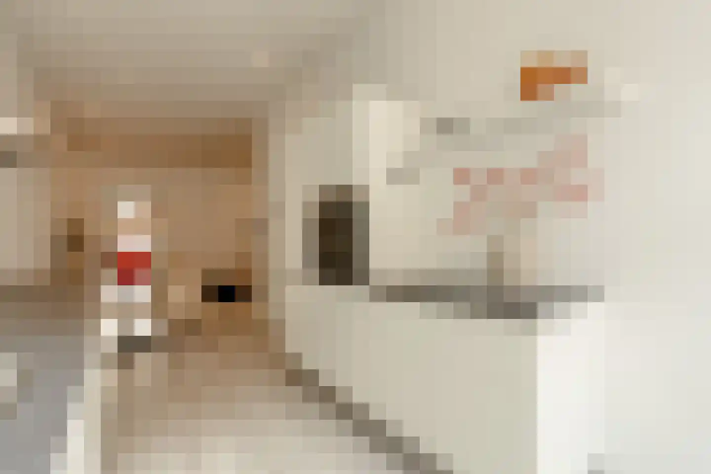 Gerard Doustraat 3 3 Amsterdam thumbnail 8
