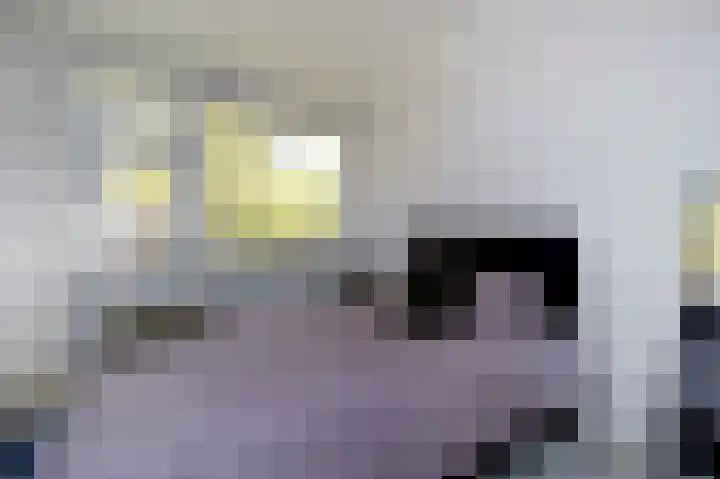 Gerard Doustraat 3 Assen thumbnail 21