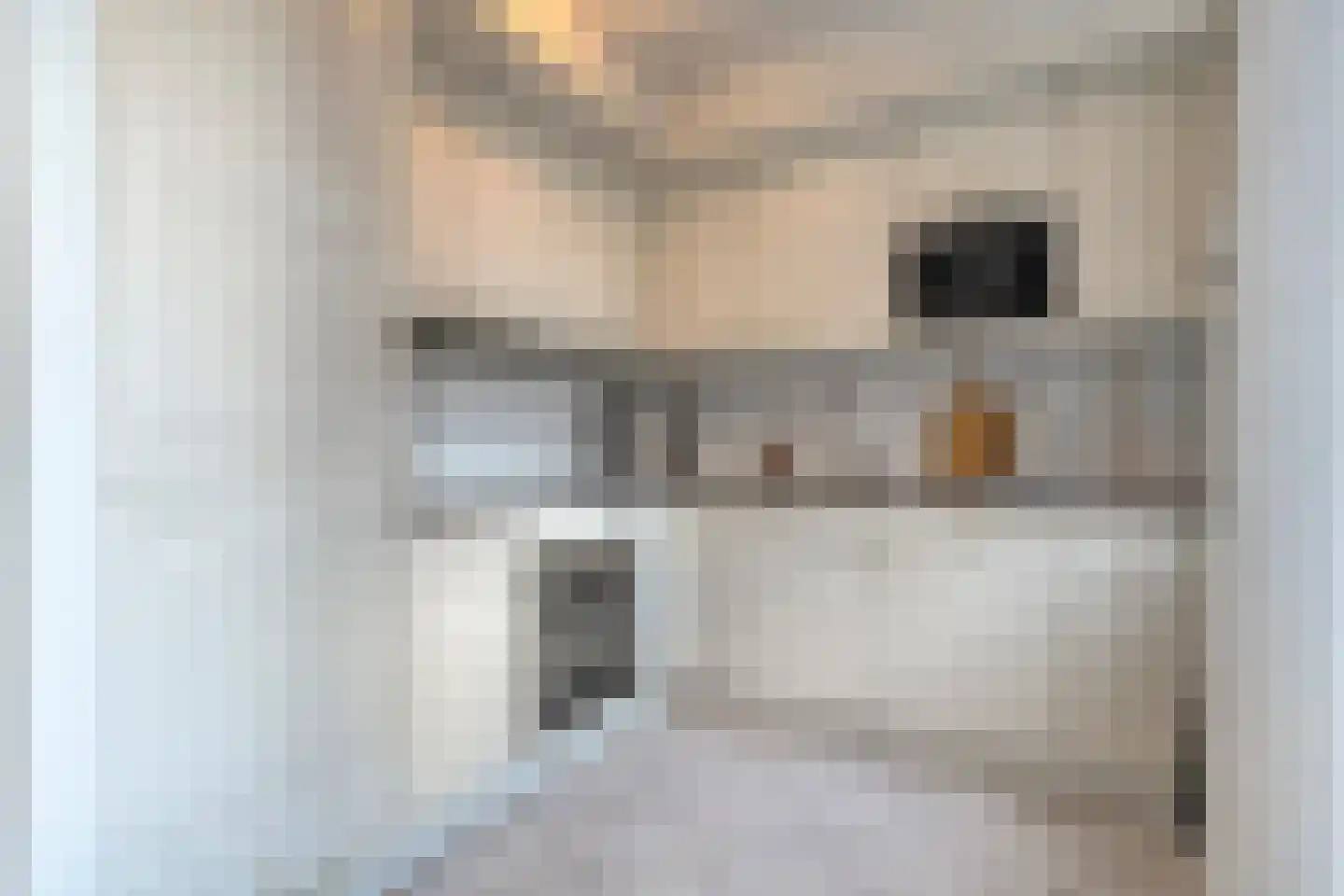 Gerard Doustraat 3 Hardenberg thumbnail 13