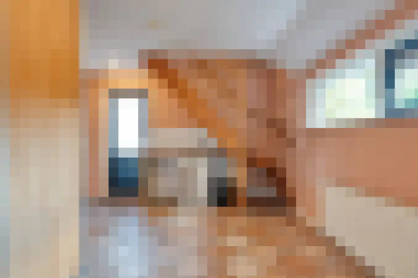 Gerard Doustraat 3 Hardenberg thumbnail 17