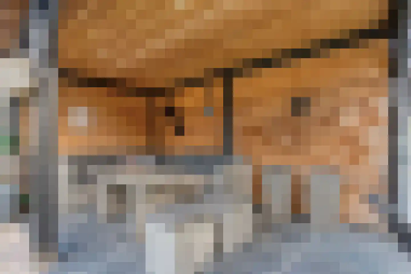 Gerard Doustraat 3 Hardenberg thumbnail 48
