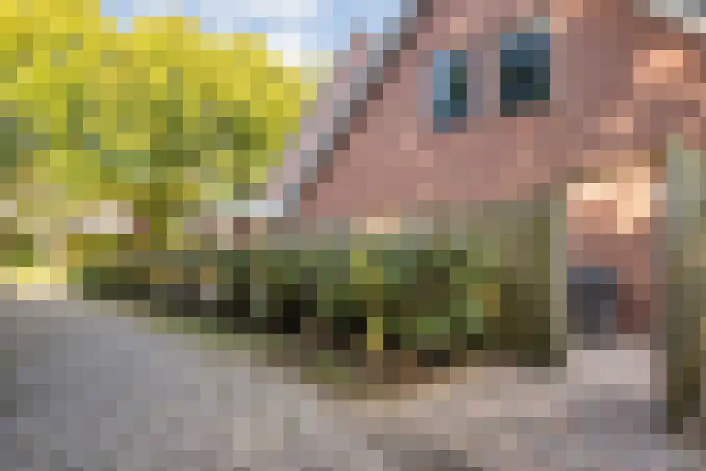 Gerard Doustraat 3 Hardenberg thumbnail 54