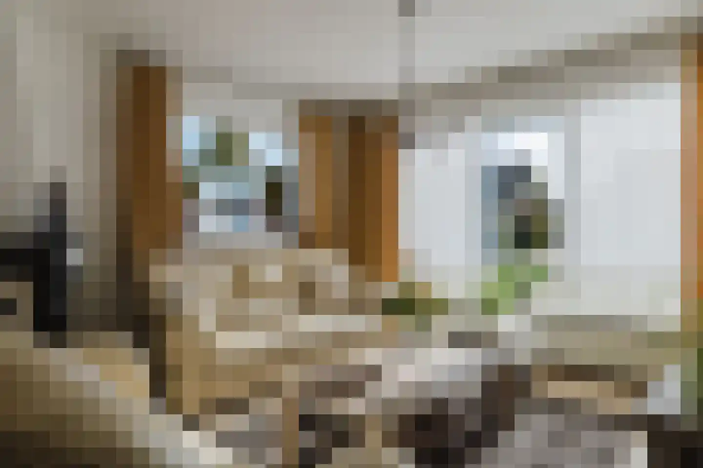 Gerard Doustraat 3 Rucphen thumbnail 10
