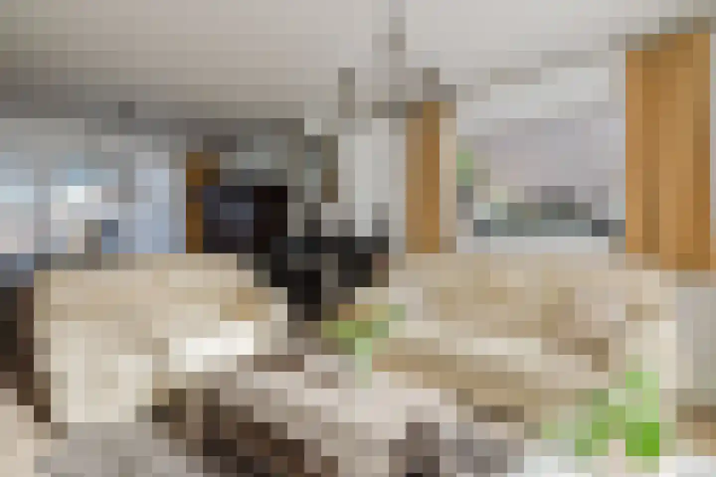 Gerard Doustraat 3 Rucphen thumbnail 13