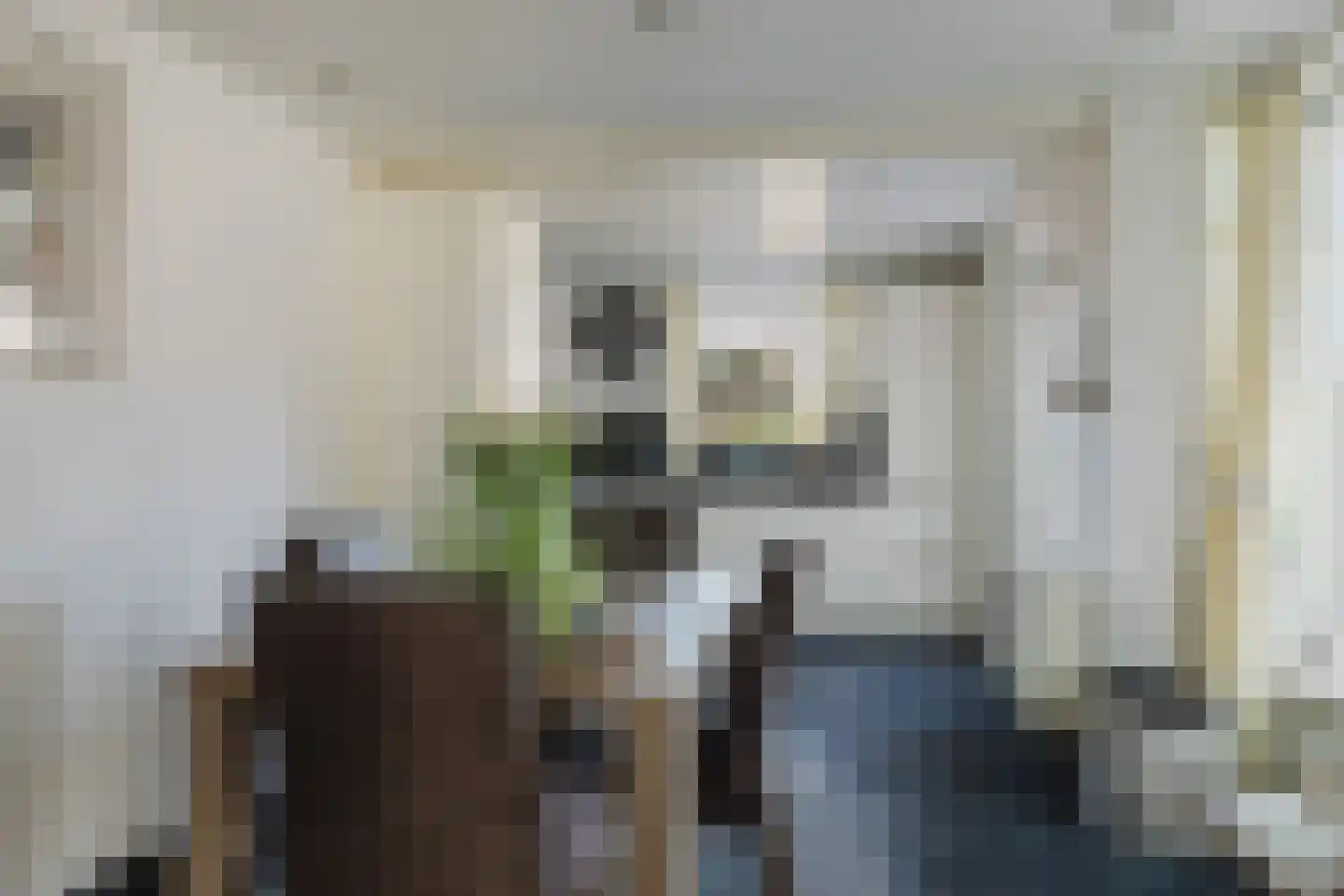Gerard Doustraat 3 Rucphen thumbnail 16