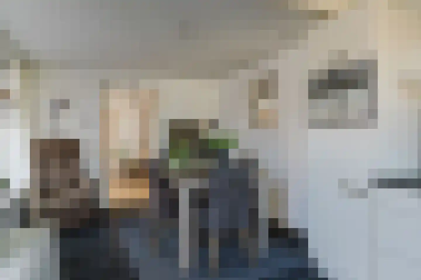 Gerard Doustraat 3 Rucphen thumbnail 21