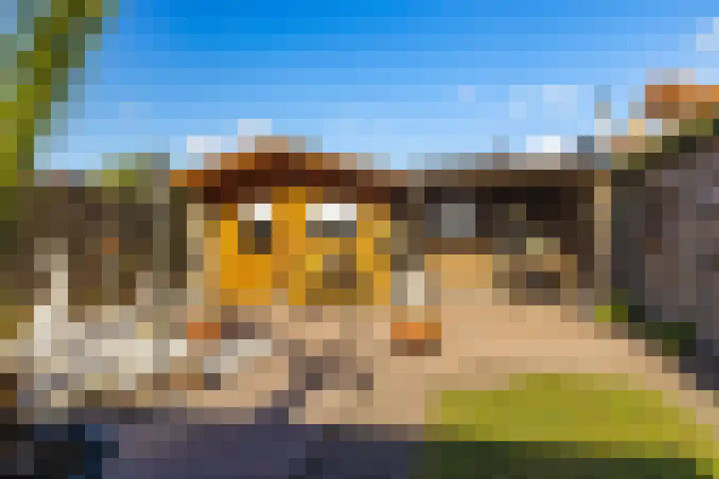 Gerard Doustraat 3 Rucphen thumbnail 47