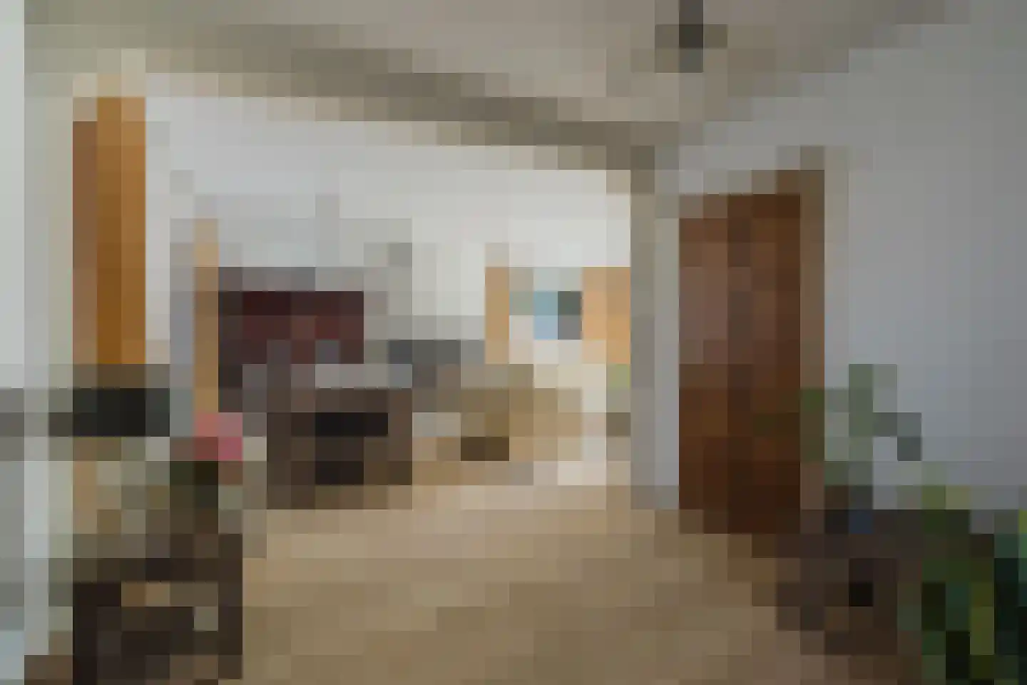 Gerard Doustraat 3 Rucphen thumbnail 5