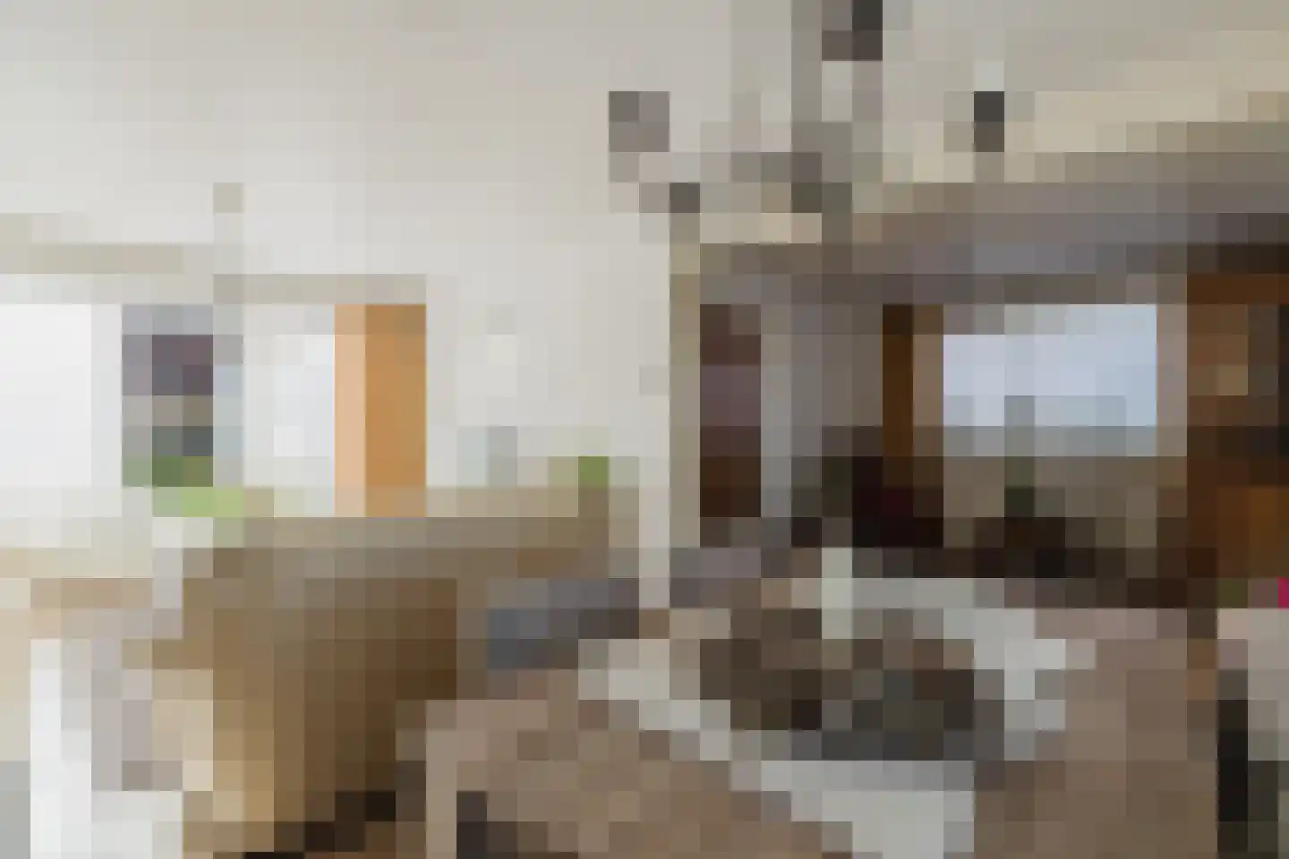 Gerard Doustraat 3 Rucphen thumbnail 9