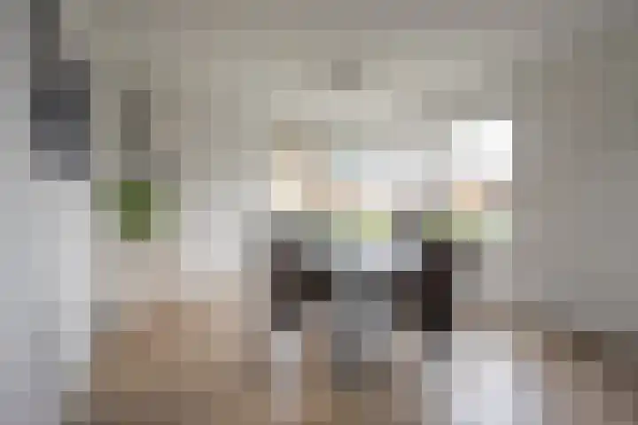Gerard Doustraat 3 Voorthuizen thumbnail 10