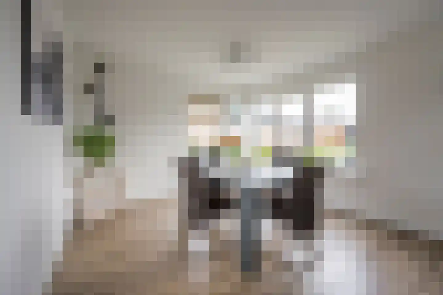 Gerard Doustraat 3 Voorthuizen thumbnail 10