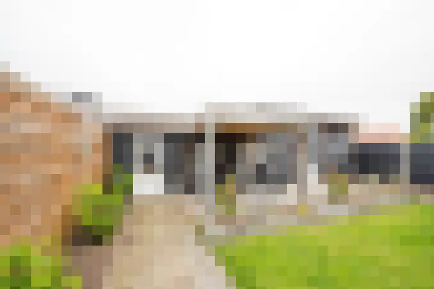 Gerard Doustraat 3 Voorthuizen thumbnail 18