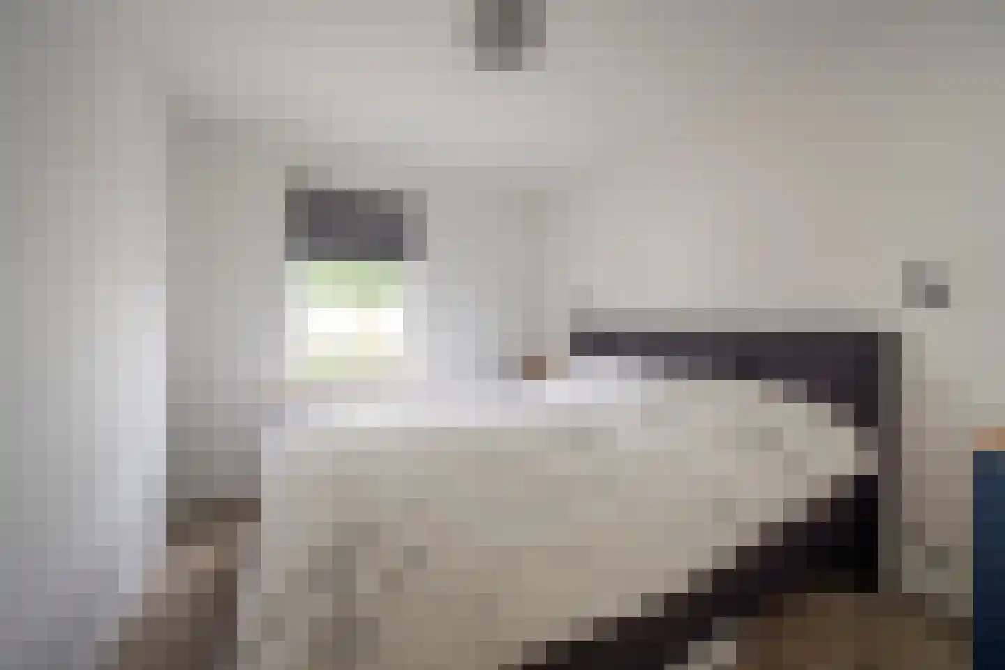 Gerard Doustraat 3 Voorthuizen thumbnail 24