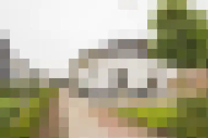 Gerard Doustraat 3 Voorthuizen thumbnail 26