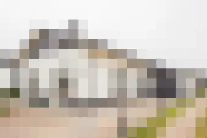 Gerard Doustraat 3 Voorthuizen thumbnail 27