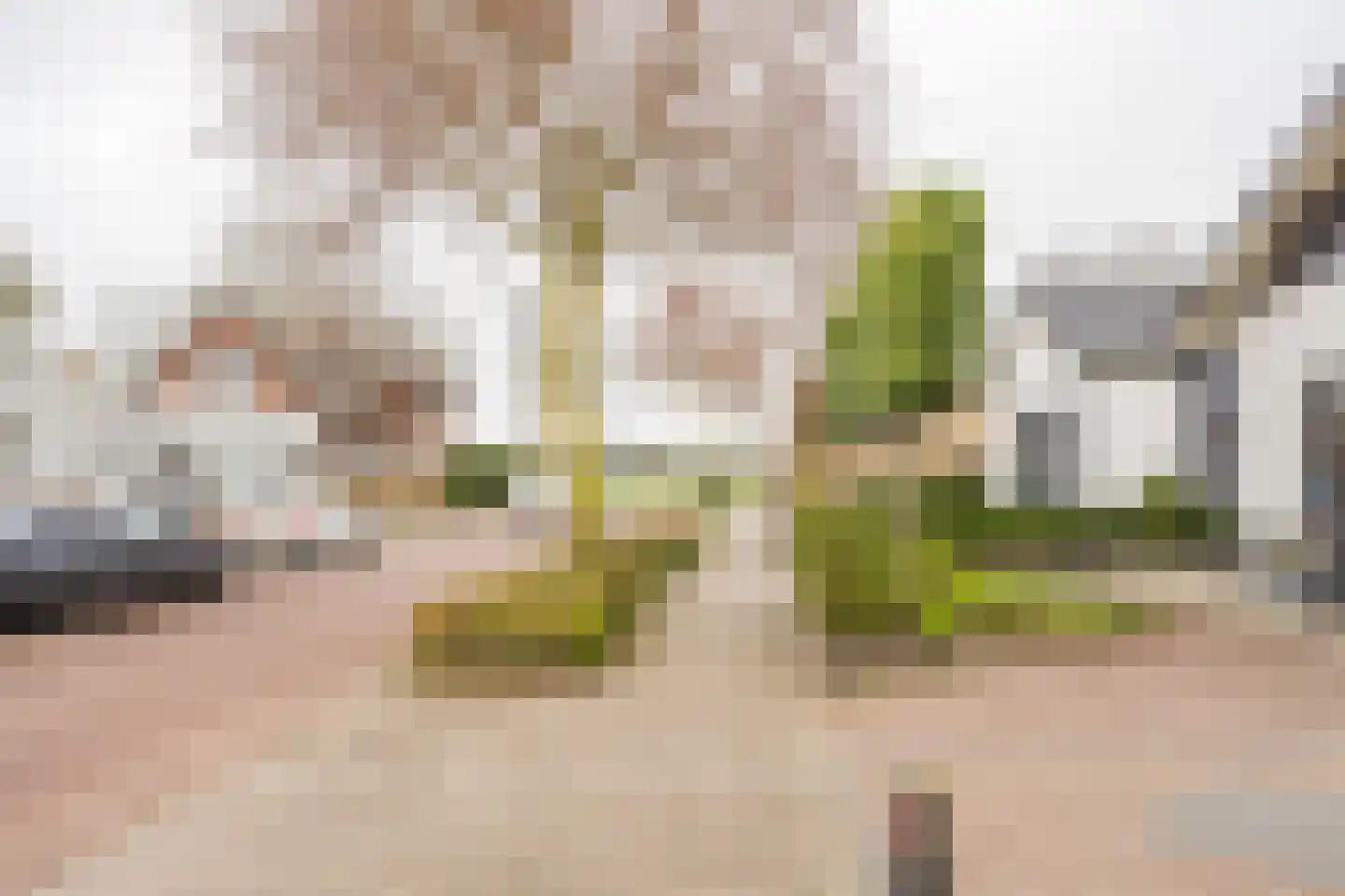 Gerard Doustraat 3 Voorthuizen thumbnail 28