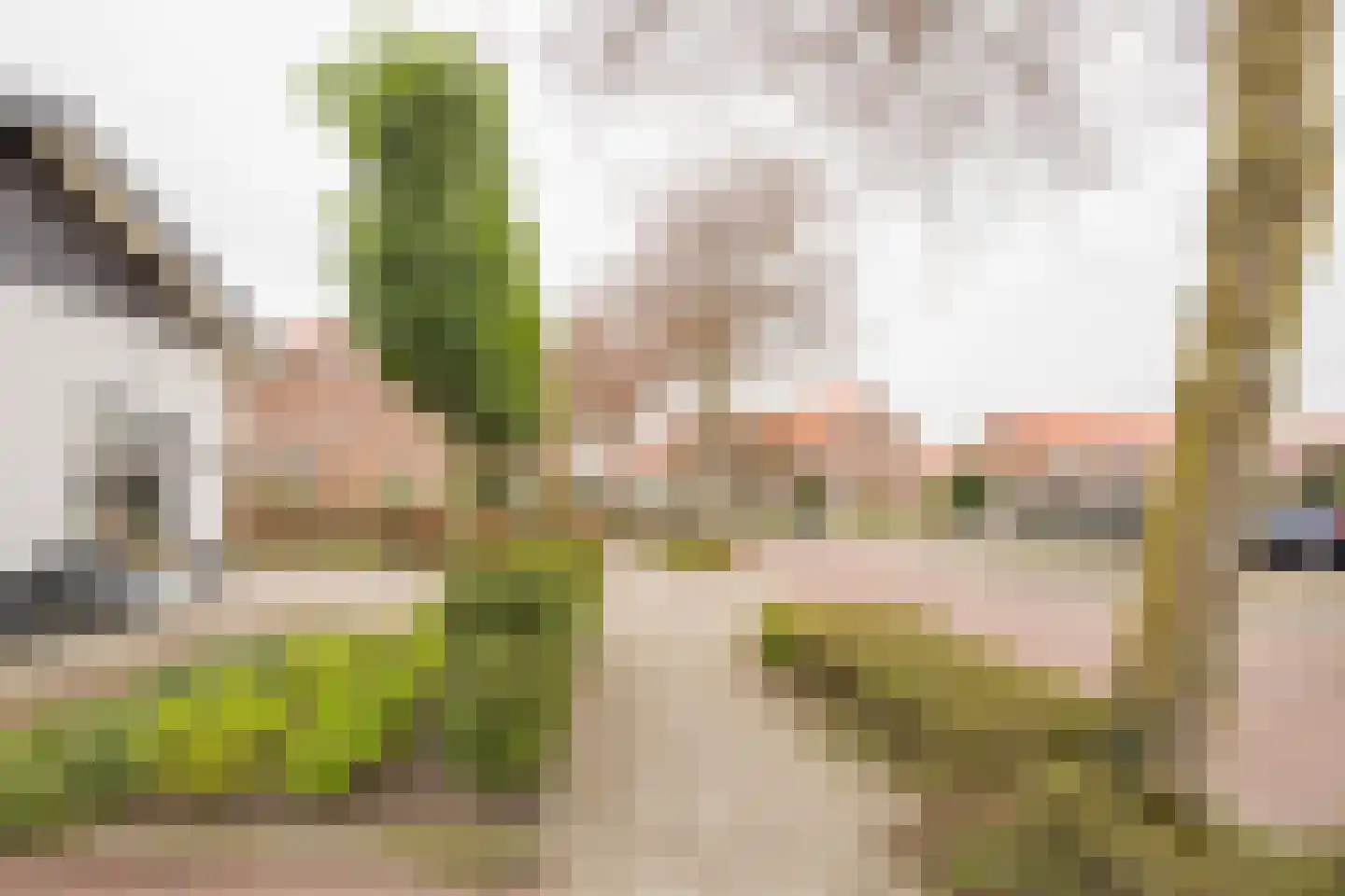 Gerard Doustraat 3 Voorthuizen thumbnail 29