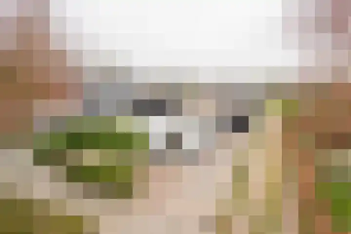 Gerard Doustraat 3 Voorthuizen thumbnail 30