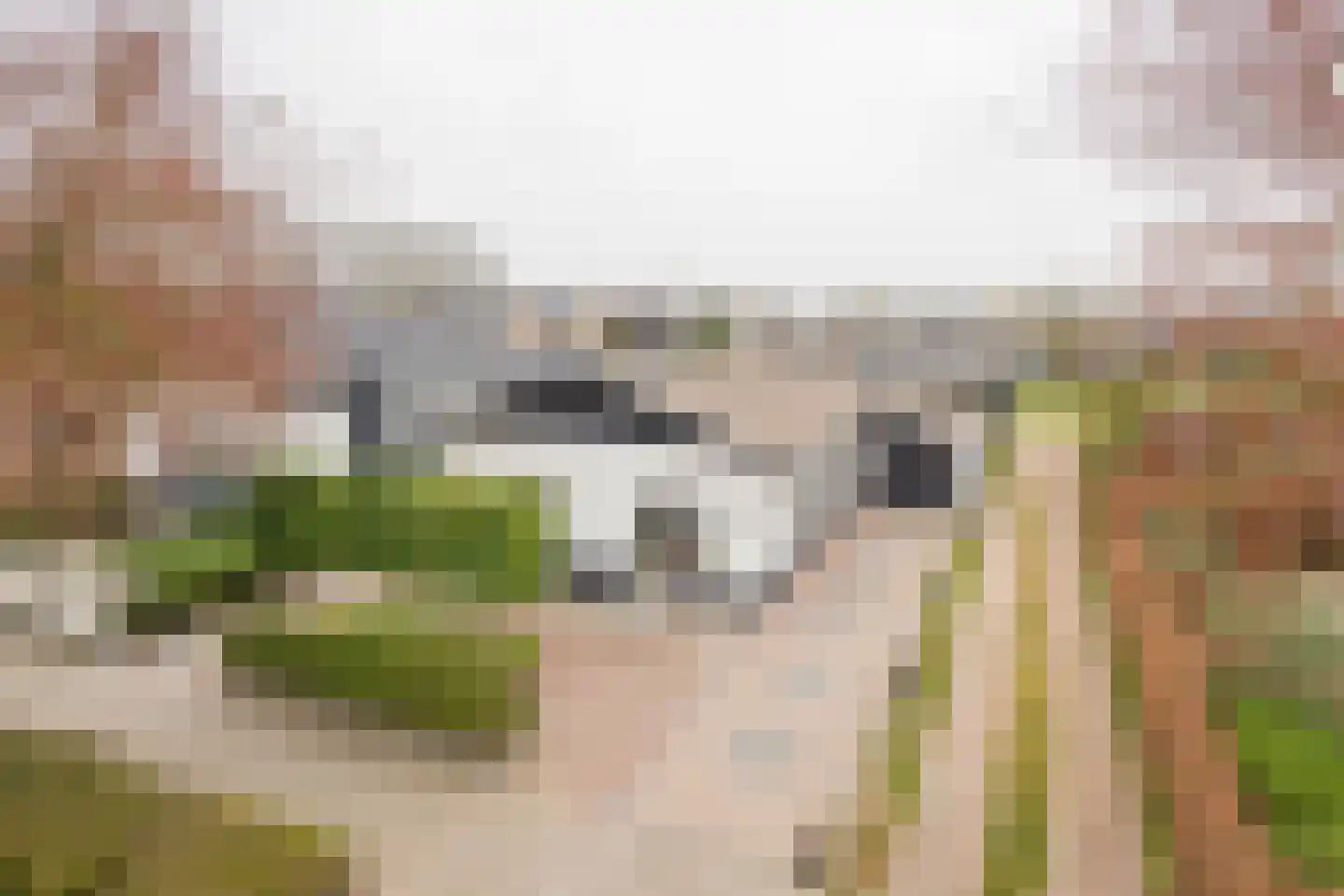Gerard Doustraat 3 Voorthuizen thumbnail 30