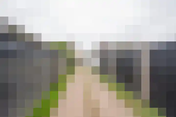 Gerard Doustraat 3 Voorthuizen thumbnail 31