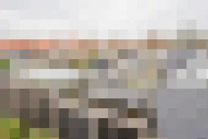 Gerard Doustraat 3 Voorthuizen thumbnail 33